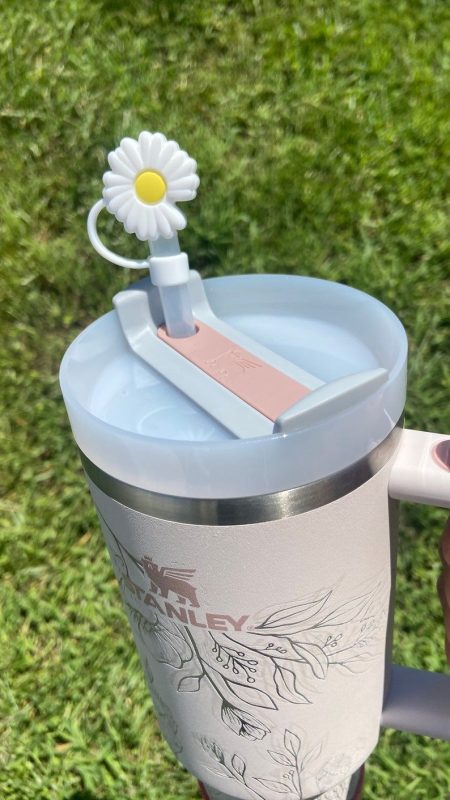 https://blainelux.com/wp-content/uploads/2023/08/Stanley-Accessory-Straw-Cap-Stanley-Topper-Drink-Cup-Drink-Cover-450x800.jpg