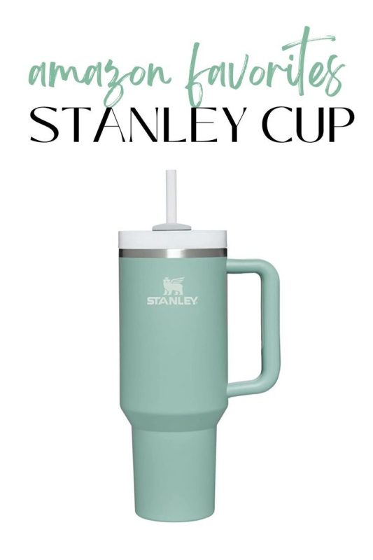 stanley cups teal green｜TikTok Search