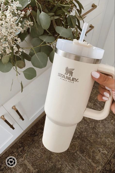 https://blainelux.com/wp-content/uploads/2023/12/Stanley-Quencher-H20-FlowState-Stainless-Steel-Vacuum-Insulated-Tumbler-with.jpg