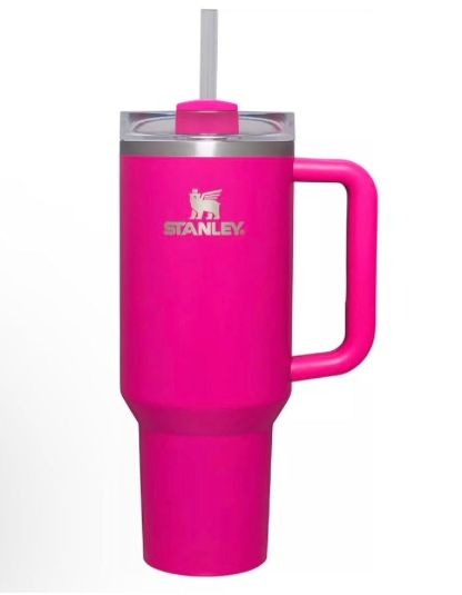 Stanley Cup Tumbler 40oz Quencher Accessories Handle Charm Aurora Sleeping  Beauty Pink and Blue Silver Mickey Key 